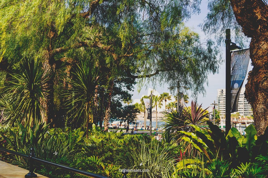 22546419684_75ef8ef357_b