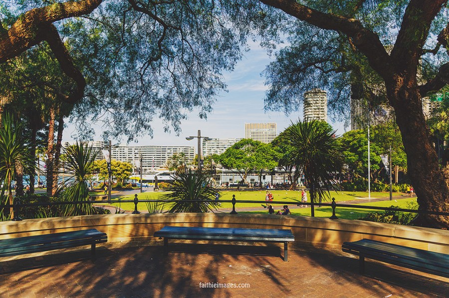 22547883503_baa45fdcb5_b