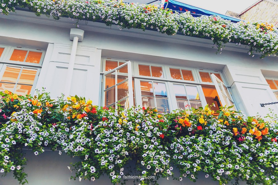 22850193479_4de62ab99f_b