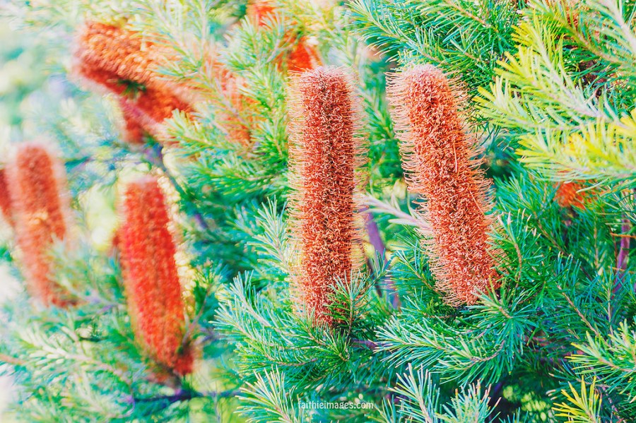 23037000489_8e2607ecf5_b