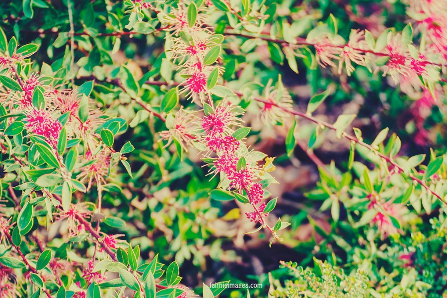 23037002289_a2646ca57a_b