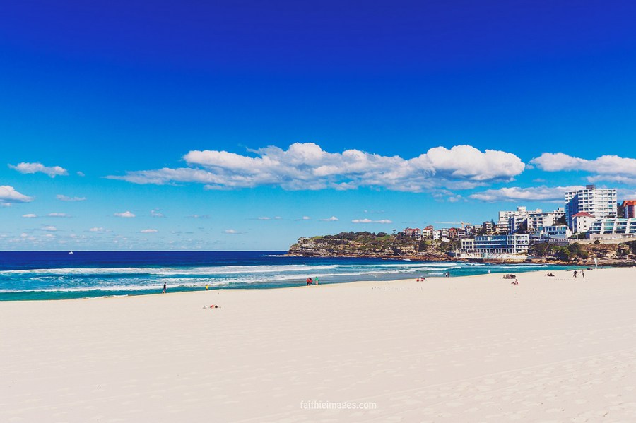 23103367610_487219ebd2_b