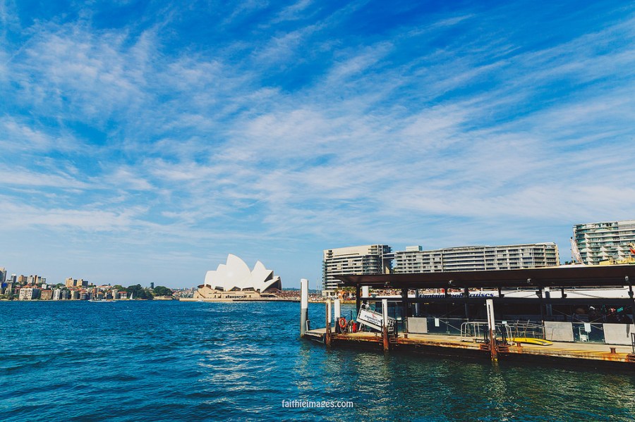 23148841816_1910162c75_b