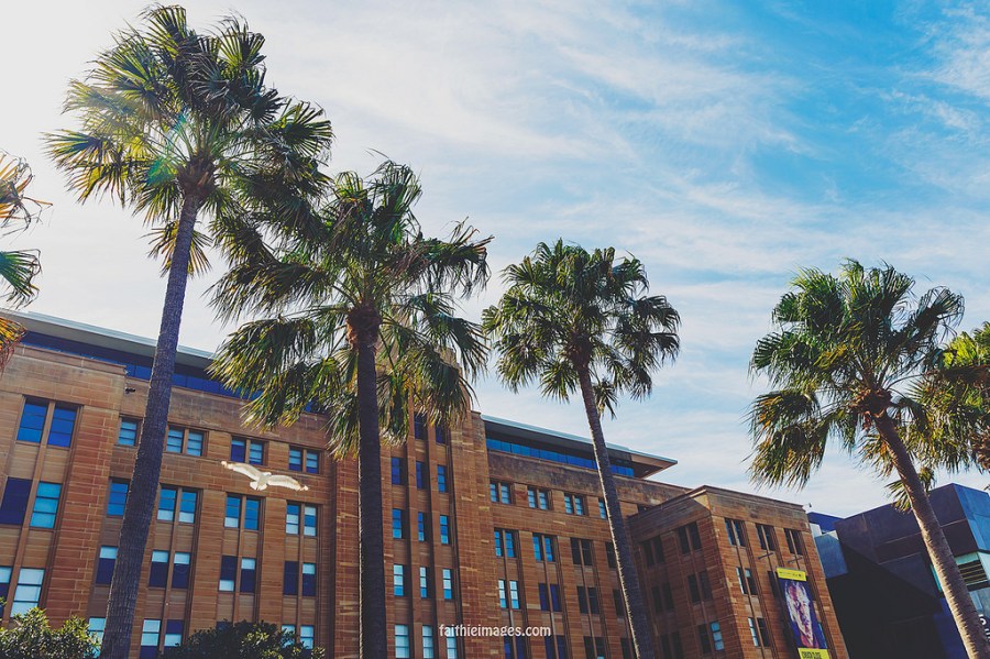 23151635866_b6fff7af9d_b