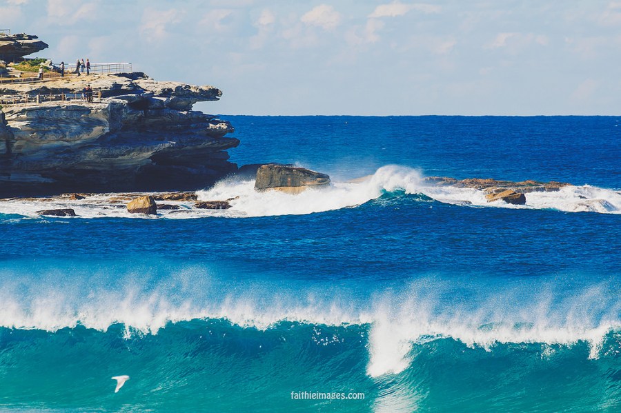 23290684402_c50a0476f4_b