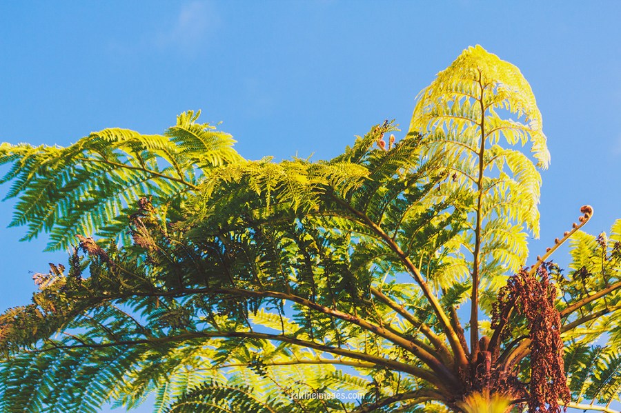 23296486352_23ae3d4fb3_b