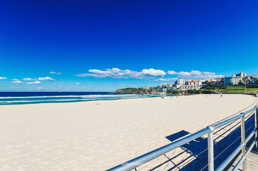 23316571621_0ca990e03d_b