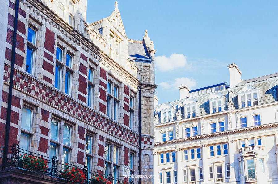 22774813923_724ae4b68b_b