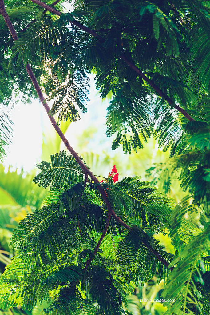 22935587893_f5bb7f319f_b