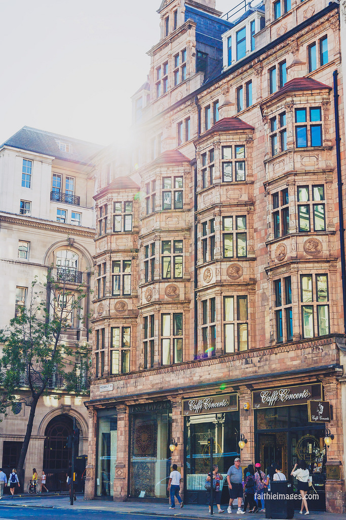 23034028019_c91a33c4d7_b