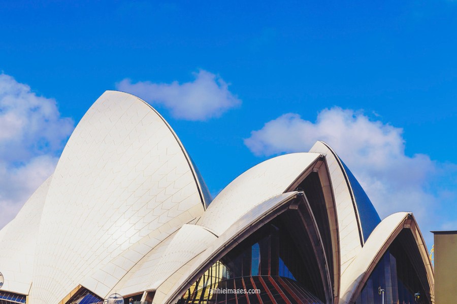 23096692004_d48cd66982_b