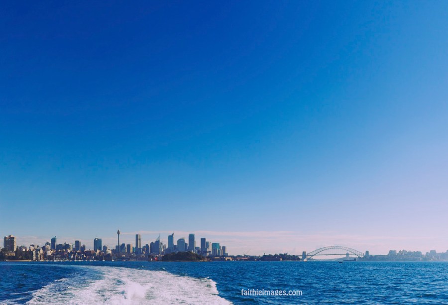 23097717663_e57d009302_b