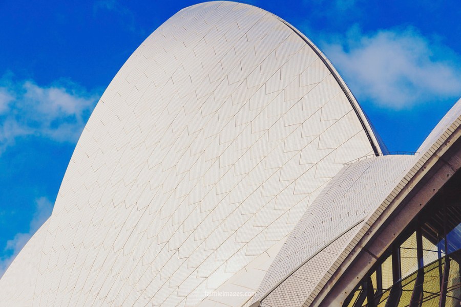 23097736463_41cb4063b9_b