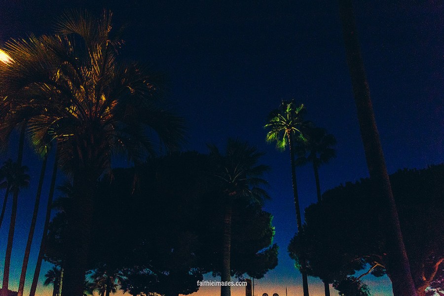 23353524144_ce34488fff_b