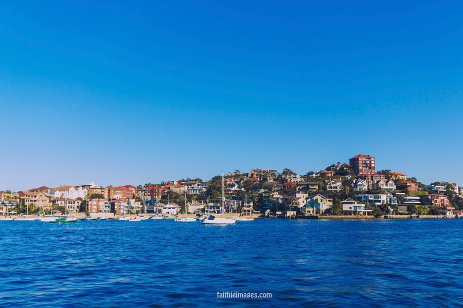 23356832349_63445d6693_b