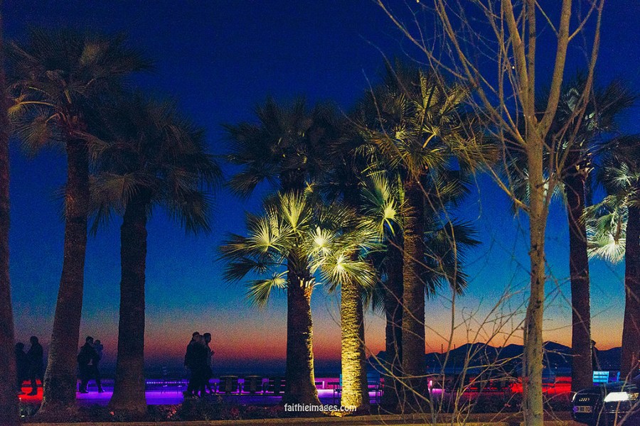 23381606353_2a46a22fda_b