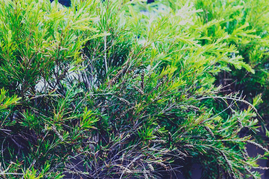 23454130402_0a5fc58d27_b