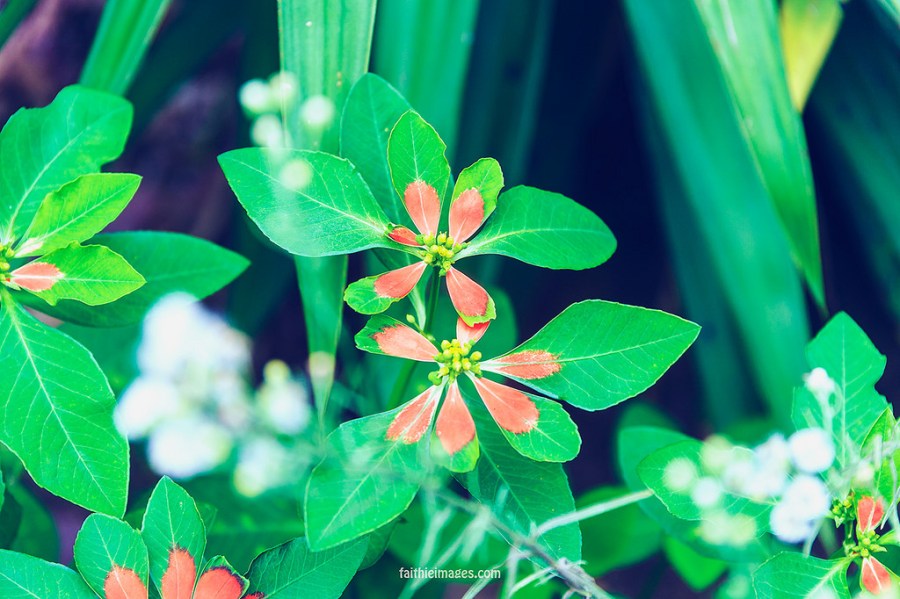 23454133042_9a9f868dd0_b