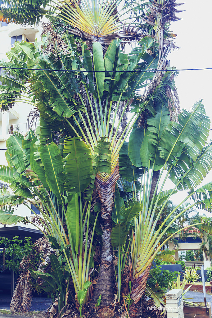 23480241861_1078838d75_b