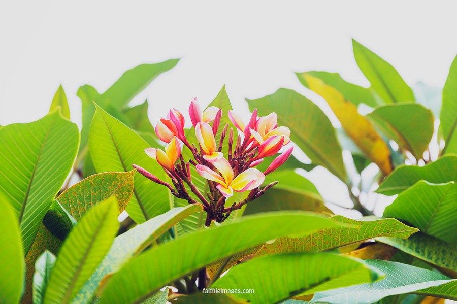 23536608986_279fdb17a6_b