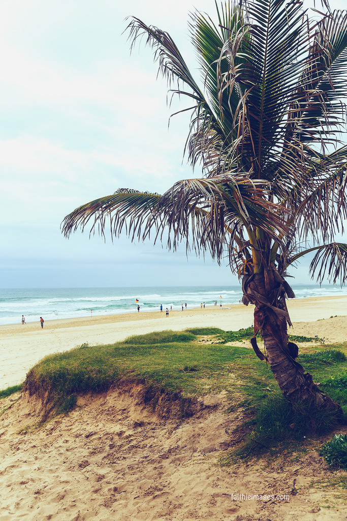 23562658205_1d26d69a52_b