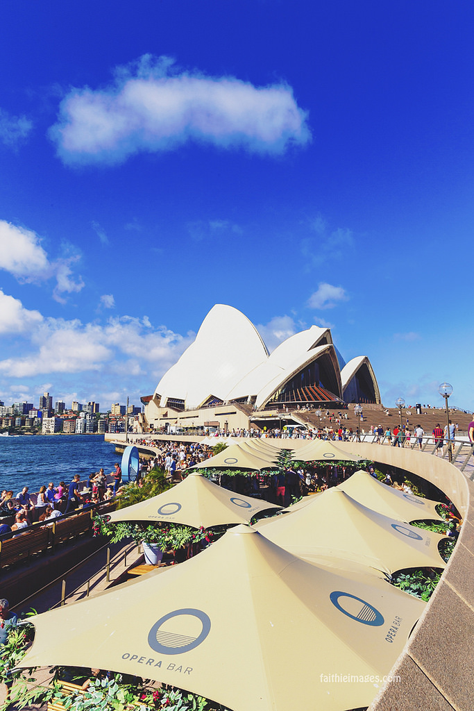 23616308462_47f30891d1_b