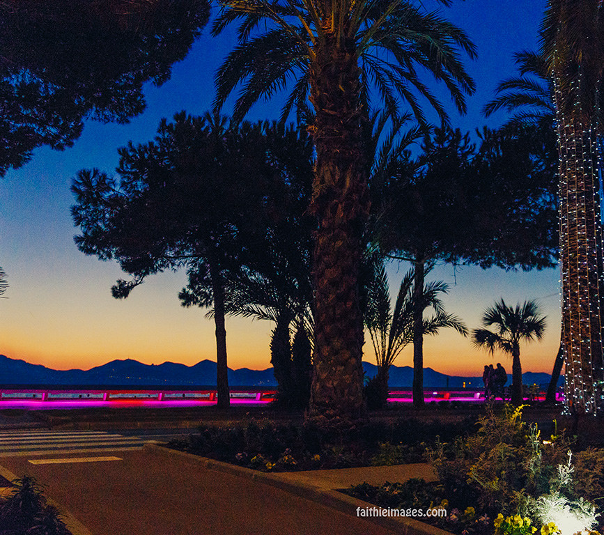 23640532769_a6300f921d_b