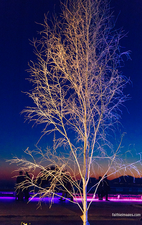 23641076669_ea64ae32f9_b