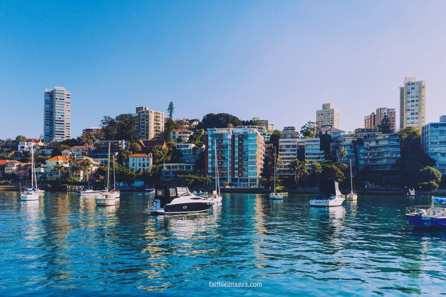 23642255211_eb29dd8d5f_b