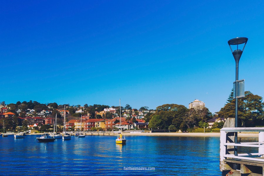 23642256941_69168fd8db_b