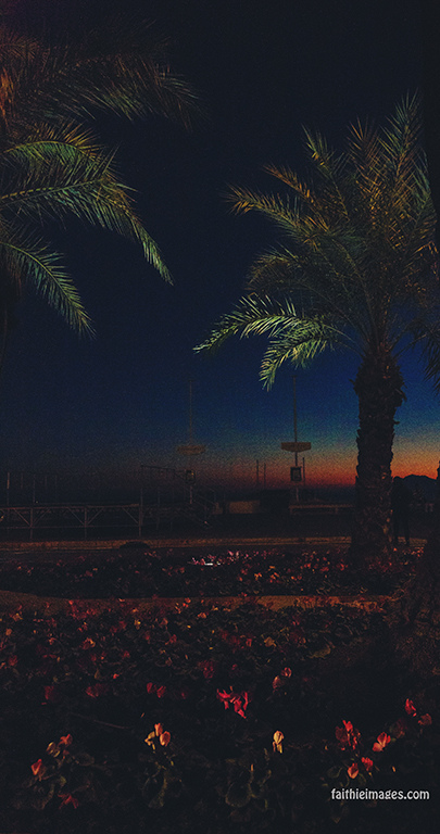 23686058200_46ae462bc4_b