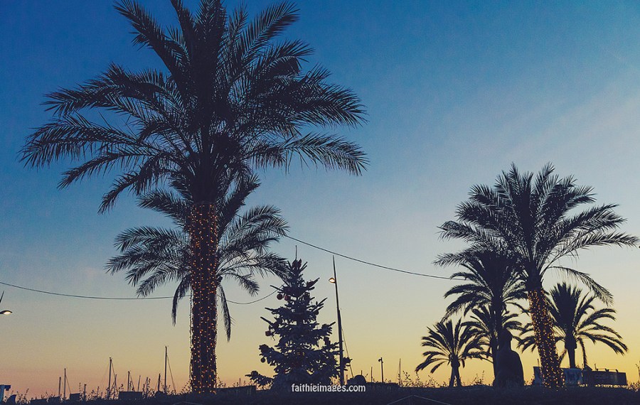 23713252540_3b37eb3fcc_b