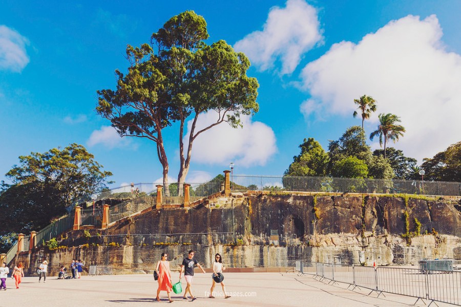 23724792625_05124fb60c_b