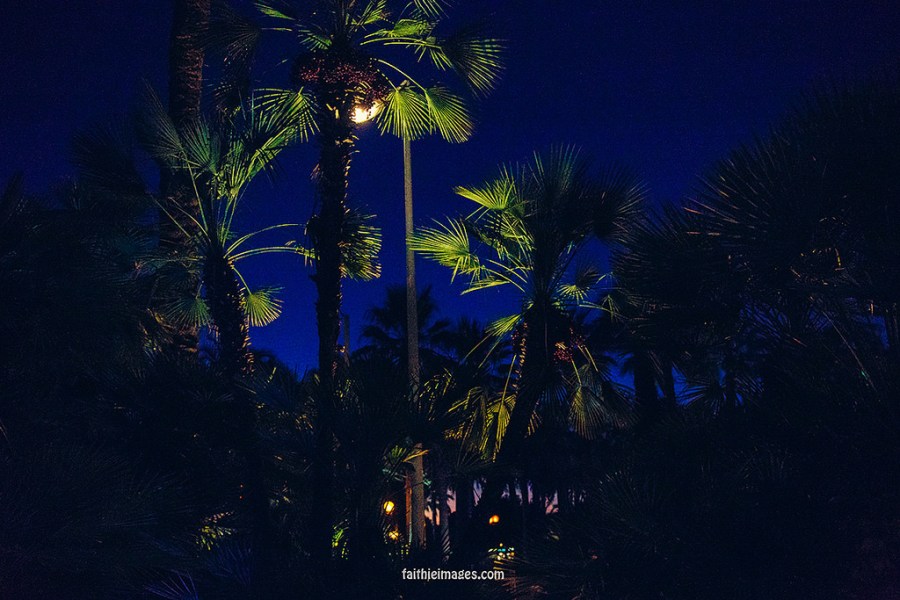 23873505402_520bf2565a_b