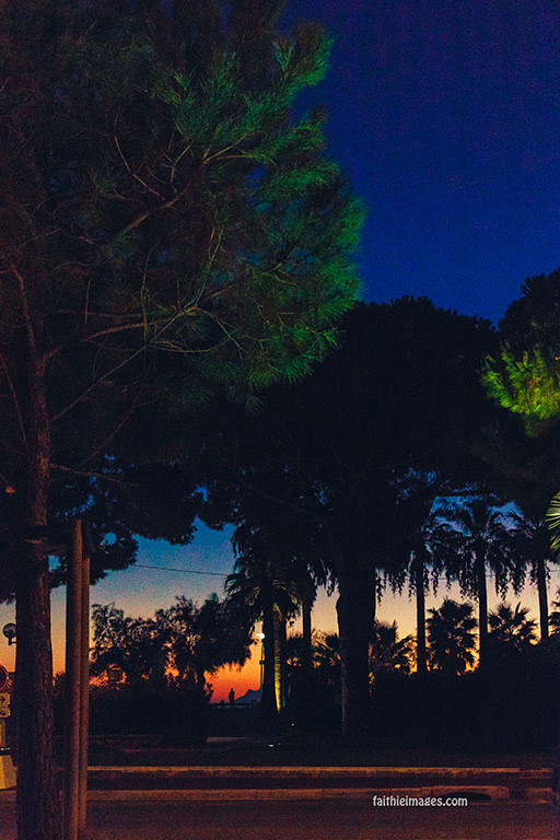 23873506412_7083facb33_b