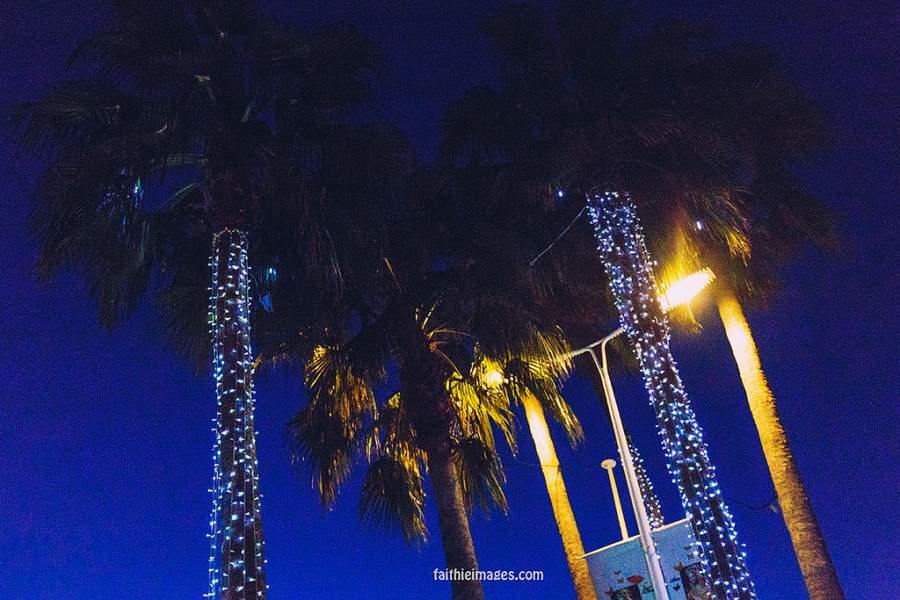 23926402331_0eb14618a8_b