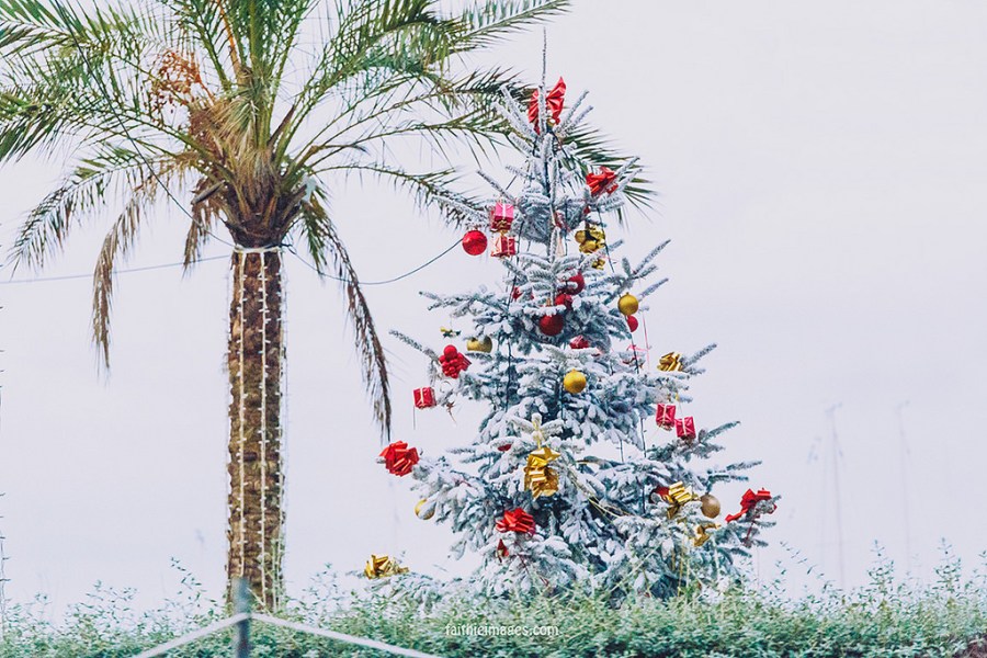 23927000995_4073d26293_b