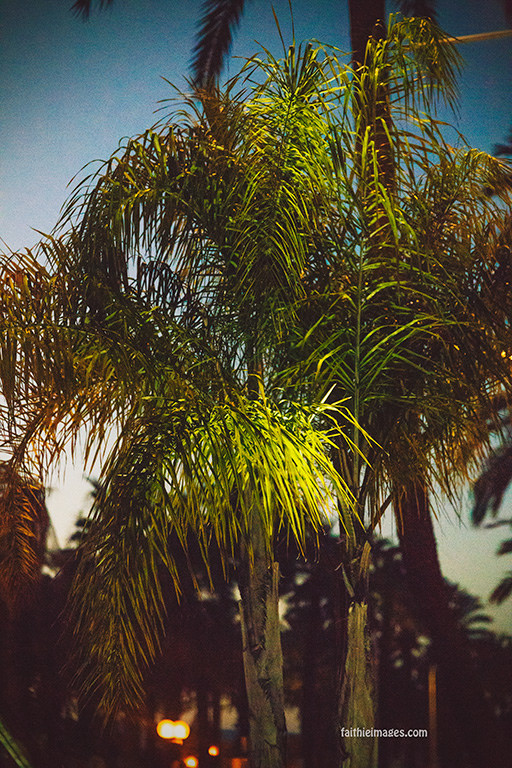 23982860636_089ca1c4cd_b