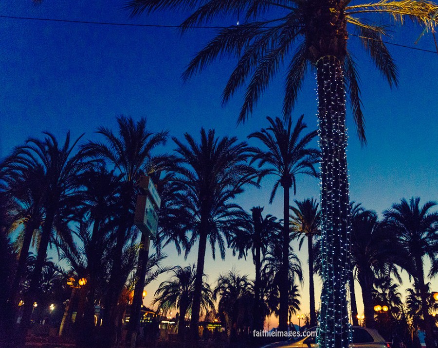 24008960785_1e0a4b37af_b