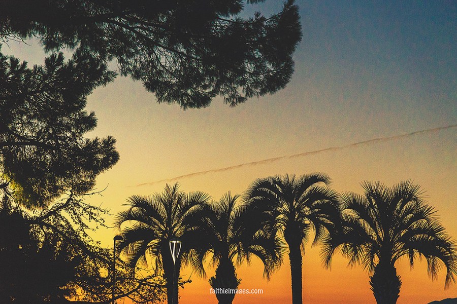 23381744004_a790414d94_b