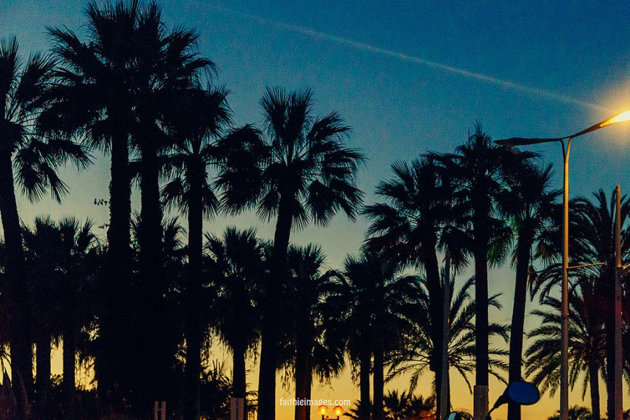 23383177663_771f834616_b