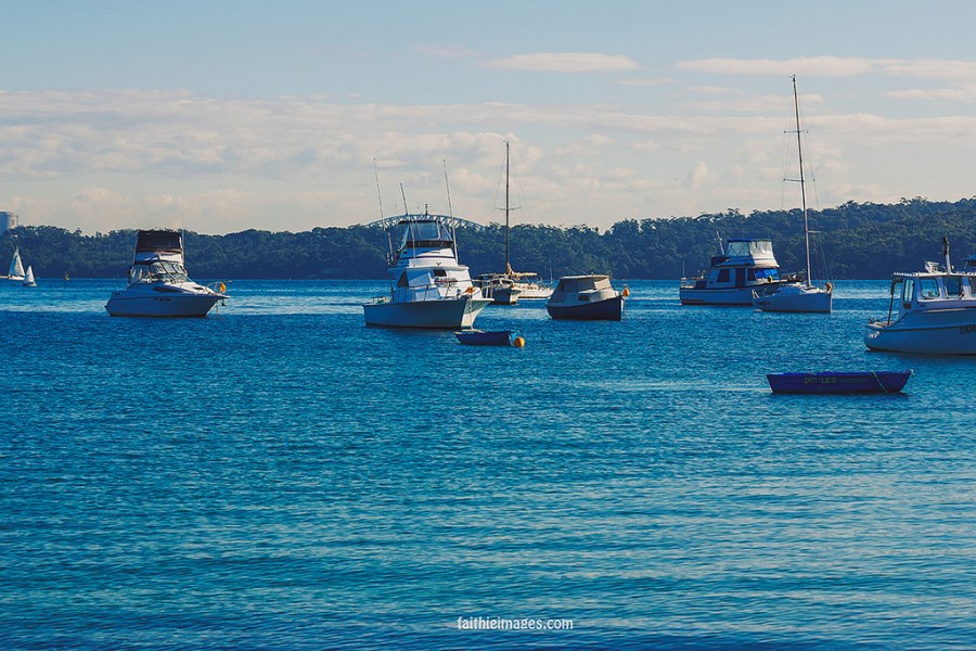 23523493804_604c2f3e77_b