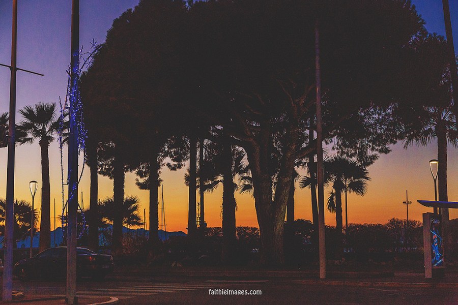 23642091879_620db7ddc8_b