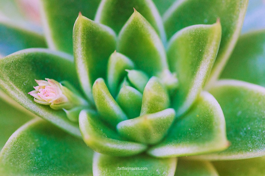 23815903493_c462bcb691_b