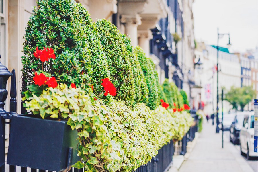 23857496870_46d791a2fd_b