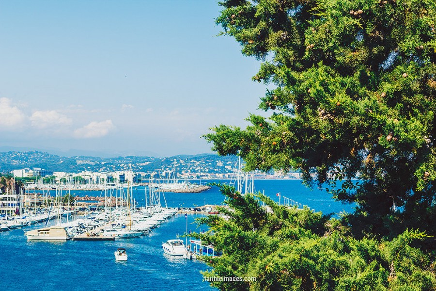 23984777880_c746490abf_b