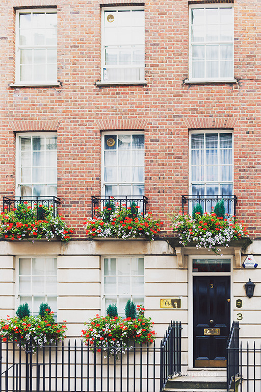 24069674771_64d60e53a8_b