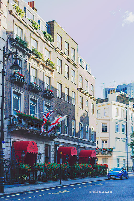 24070538901_4d55e3f8db_b