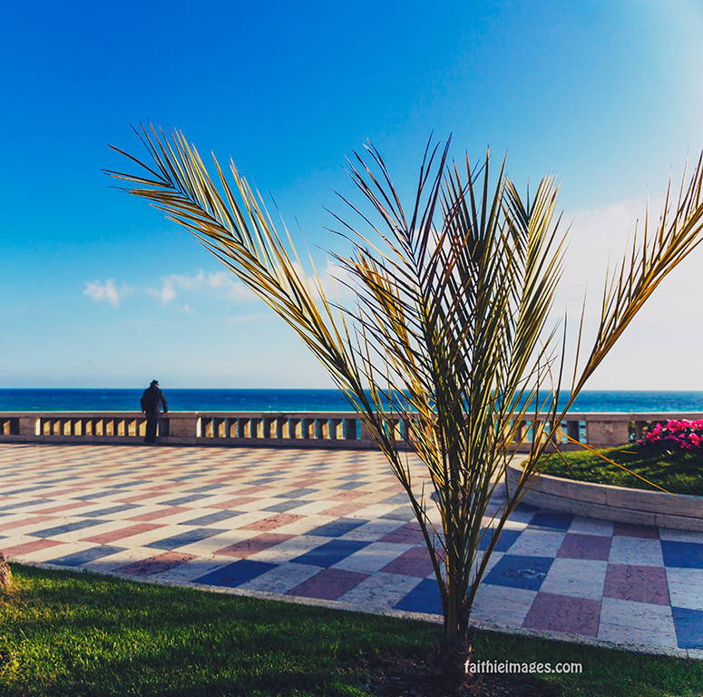 24144326960_9884d112df_b