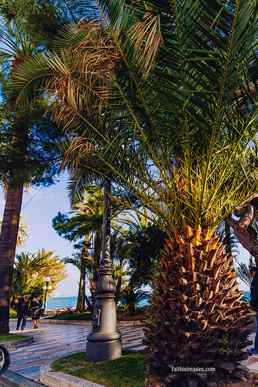 24144328860_d482e1df0a_b